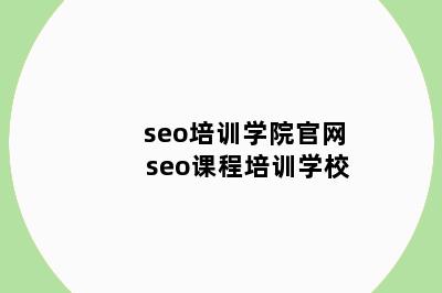 seo培训学院官网 seo课程培训学校